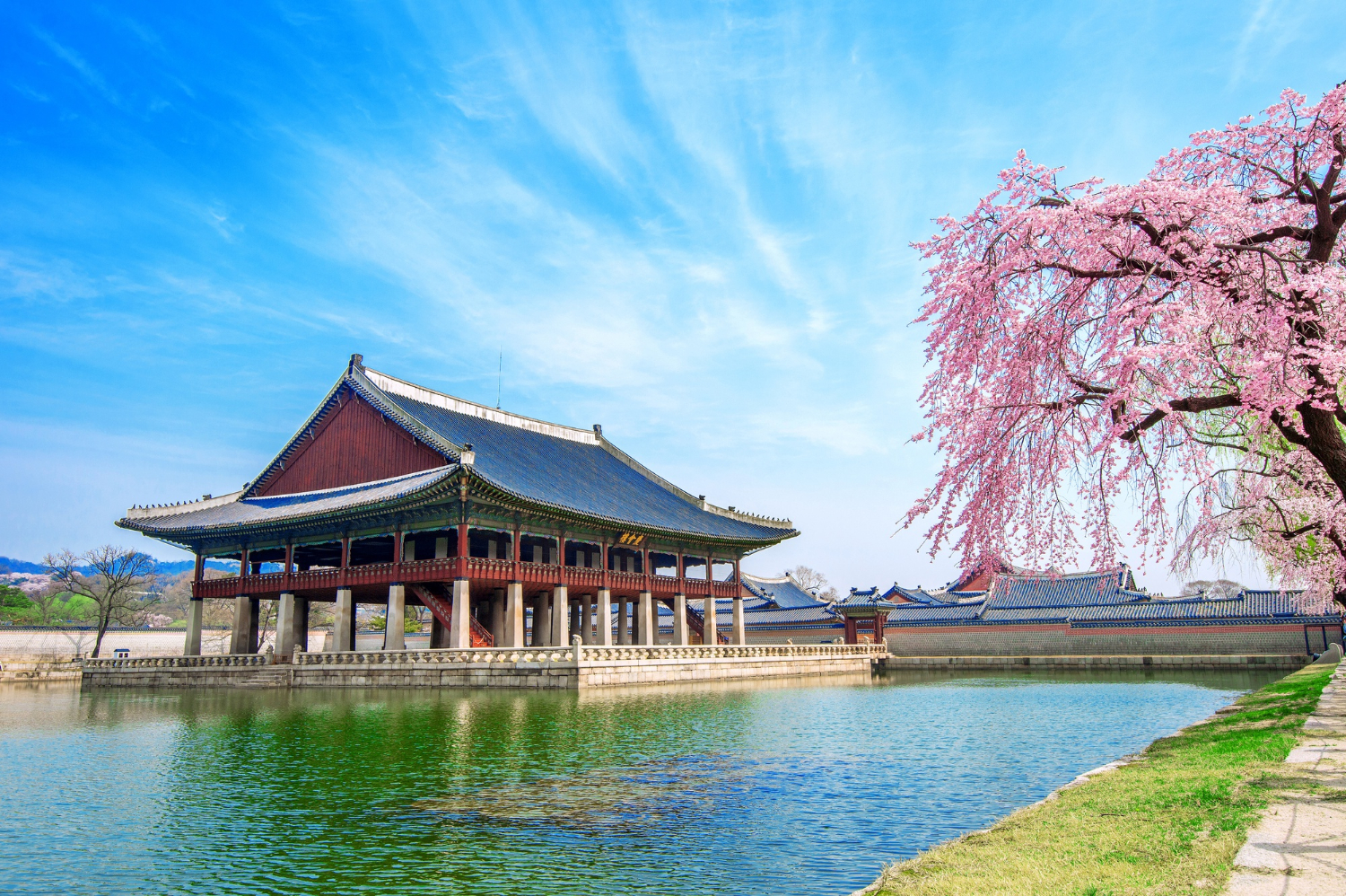 KOMD Healing Sanctuary